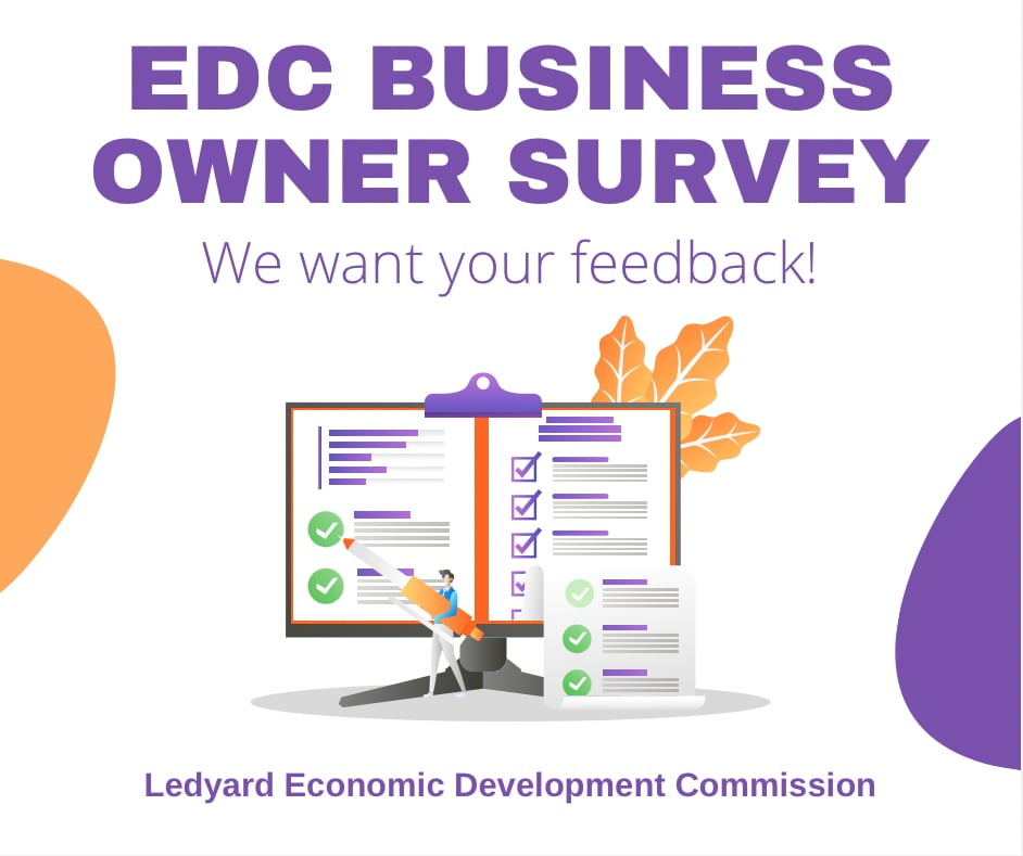 Picture EDC Business Owner Survey